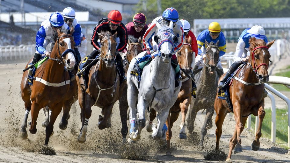 20 Horse Betting operators have created the World Tote Association, WoTA
